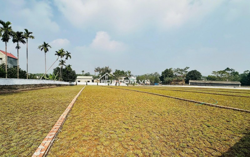 CHỈ 5tr/m2 CƠ HỘI SỞ HỮU LÔ ĐẤT NỀN TẠI kcn NHUẬN TRẠCH. LƯƠNG SƠN. HÒA BÌNH