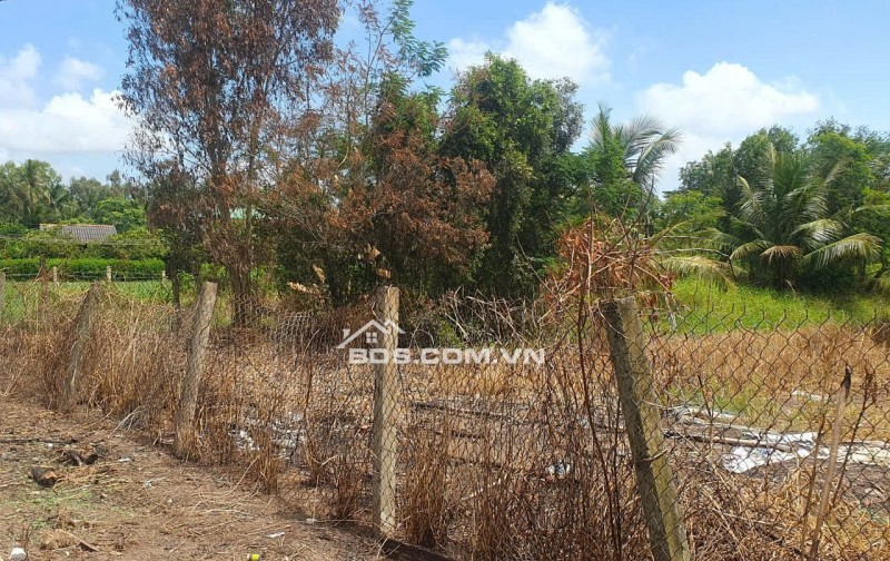 Bán lô đất lúa xã Tân Trụ giá 5,2 tỷ