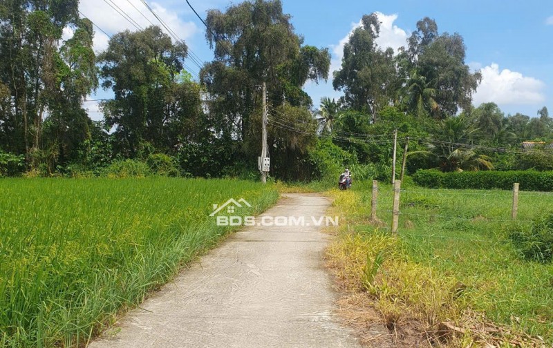 Bán lô đất lúa xã Tân Trụ giá 5,2 tỷ