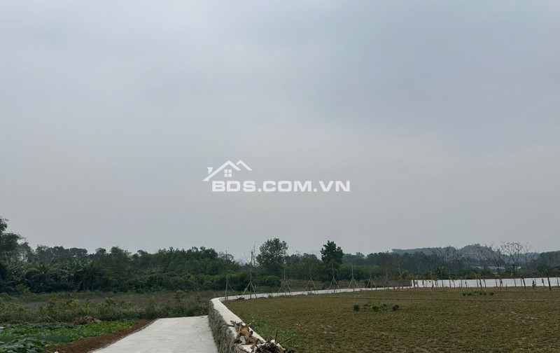 LÔ GÓC 590m² – 2 MẶT TIỀN – TRUNG TÂM VÙNG DU LỊCH NGHỈ DƯỠNG Cư Yên