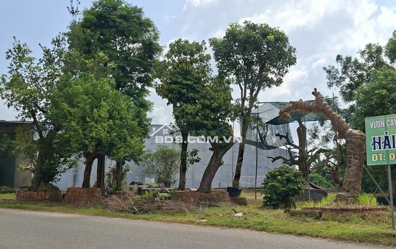 Bán gấp nhà lầu mới xây tại mặt tiền đường ĐT 720, xã Suối Kiết, huyện Tánh Linh, Tỉnh Bình Thuận ( nay là Xã Suối Kiết, tỉnh Lâm Đồng)