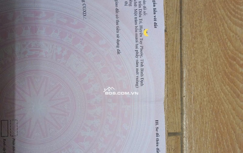 Đất 2 mặt tiền cực lớn TT DIÊU TRÌ, sát đường TRÀN BÁ, gần khu ĐT XANH DIÊU TRÌ, TUY PHƯỚC