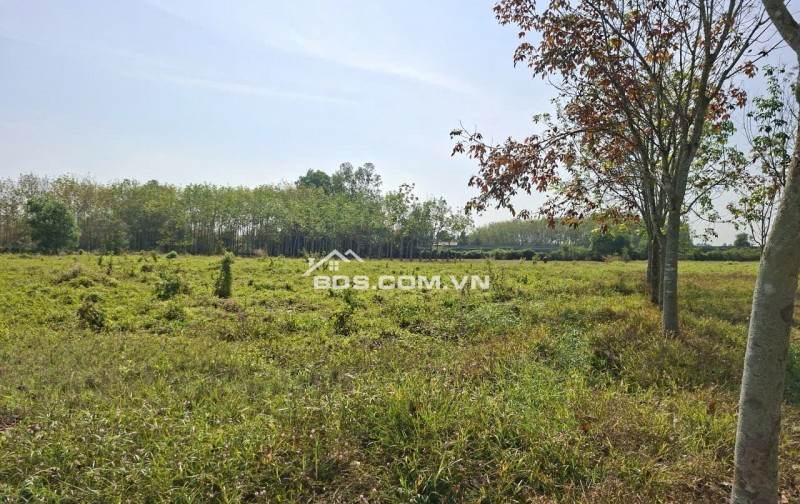 1)	Bán đất  HXH đường Phú Thuận, xã An Nhơn Tây, TP.HCM ( Xã Phú Mỹ Hưng, Huyện Củ Chi)