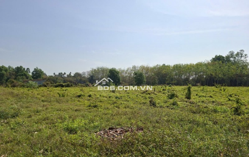 Cần thanh lý trong tháng lô đất HXH đường Phú Thuận, Huyện Củ Chi, TP.HCM