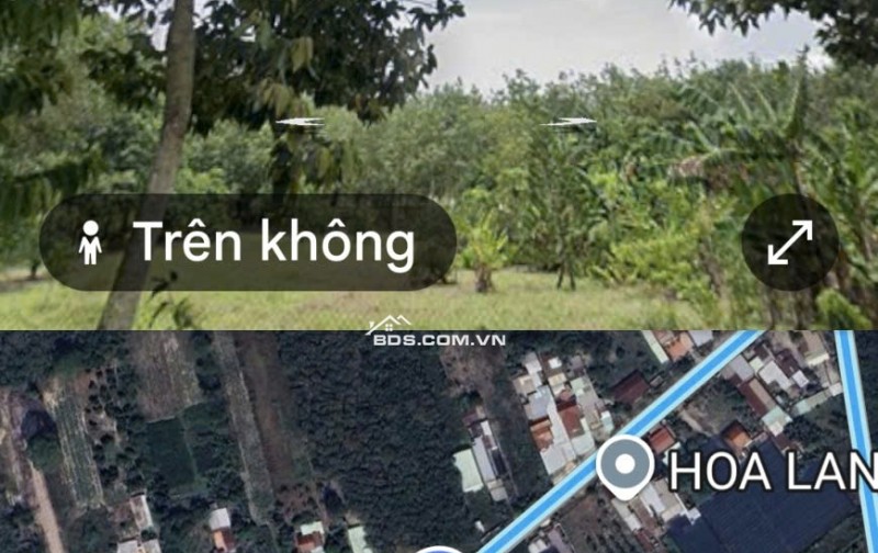 Cần thanh lý trong tháng lô đất HXH đường Phú Thuận, Huyện Củ Chi, TP.HCM