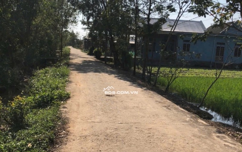 Bán đất tại Phú Gia, Xã Phú Vang, Thành Phố Huế DT: 100 m2 SHR: 620tr. LH: 0906529275