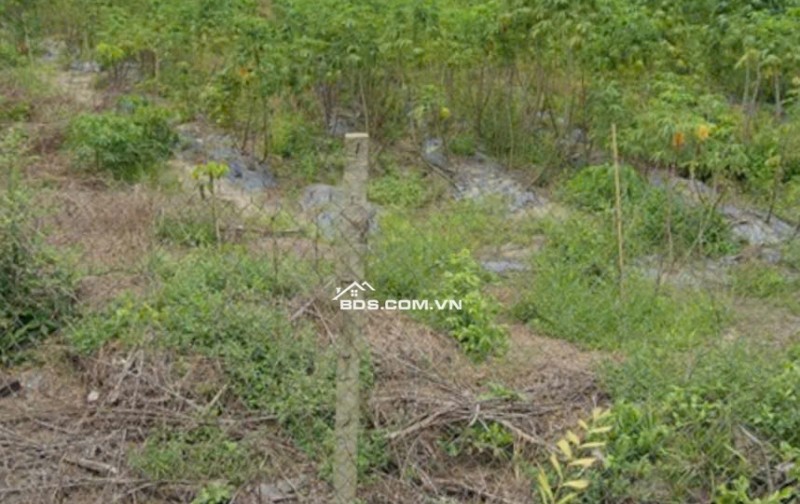 Bán đất tại mặt tiền đường Phạm Thị Quới, xã Phú Mỹ Hưng,  Huyện Củ Chi, nay là xã An Nhơn Tây, TP. Hồ Chí Minh