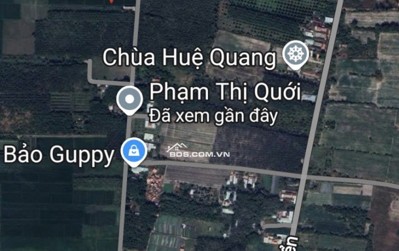 Bán đất nông nghiệp quy hoạch đất thổ cư tại mặt tiền đường Đường Phạm Thị Quới, xã An Nhơn Tây, TP.HCM ( cũ là xã Phú Mỹ Hưng)