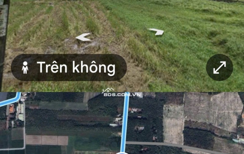 Bán đất nông nghiệp quy hoạch đất thổ cư tại mặt tiền đường Đường Phạm Thị Quới, xã An Nhơn Tây, TP.HCM ( cũ là xã Phú Mỹ Hưng)