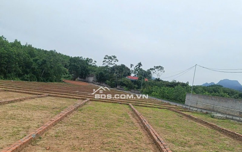 chỉ từ 205tr sở hữu lô đất nền full thổ cư tại lạc thủy hòa bình