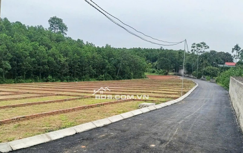 chỉ từ 205tr sở hữu lô đất nền full thổ cư tại lạc thủy hòa bình