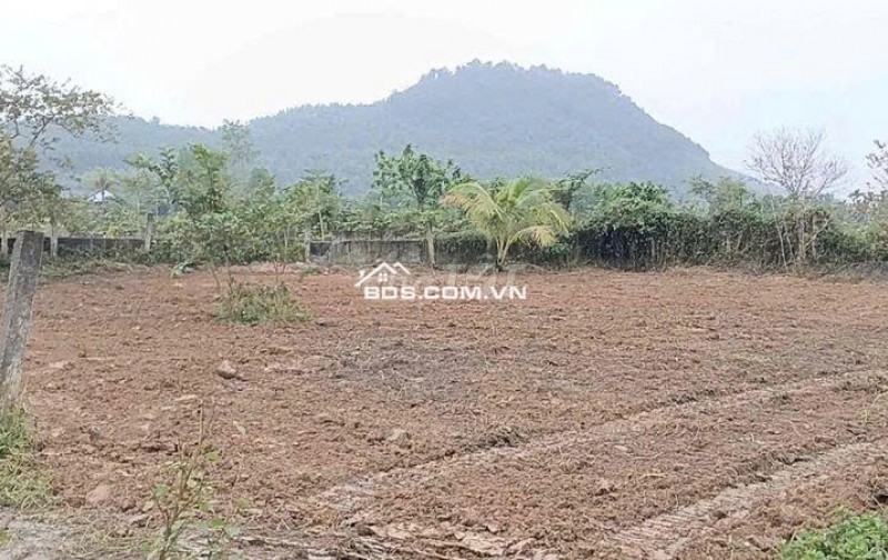 Đất làm vườn nghĩ dưỡng view sông sát đường đi Núi Thần Tài 3800m 5.3 tỷ. Lh:0913913077