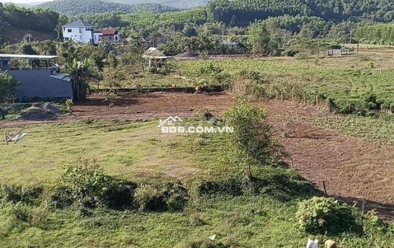 Đất làm vườn nghĩ dưỡng view sông sát đường đi Núi Thần Tài 3800m 5.3 tỷ. Lh:0913913077