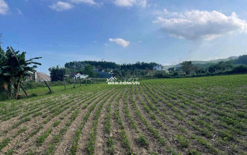 Đất làm vườn nghĩ dưỡng view sông sát đường đi Núi Thần Tài 3800m 5.3 tỷ. Lh:0913913077