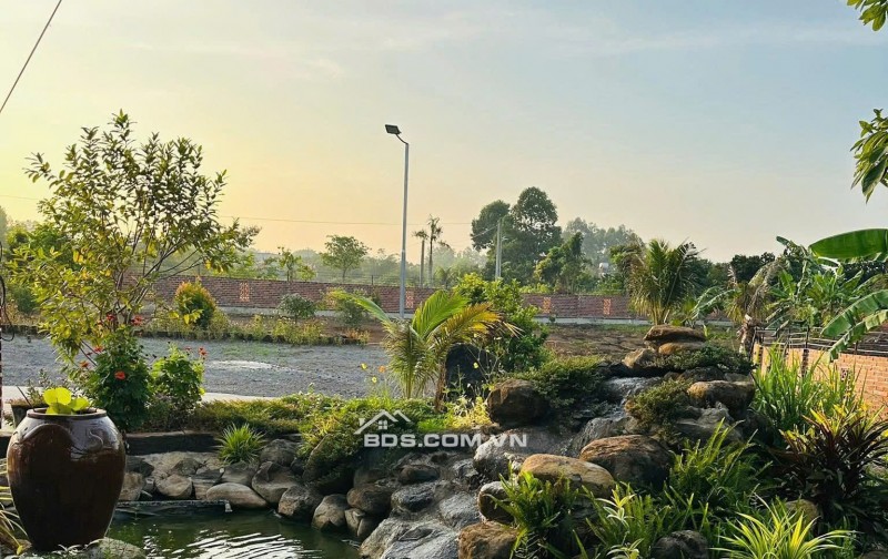 CẮT LỖ HƠN 3 TỶ Khu Nhà Vườn 2000M² – Cách Cổng 2 SÂN BAY LONG THÀNH Chỉ 5KM