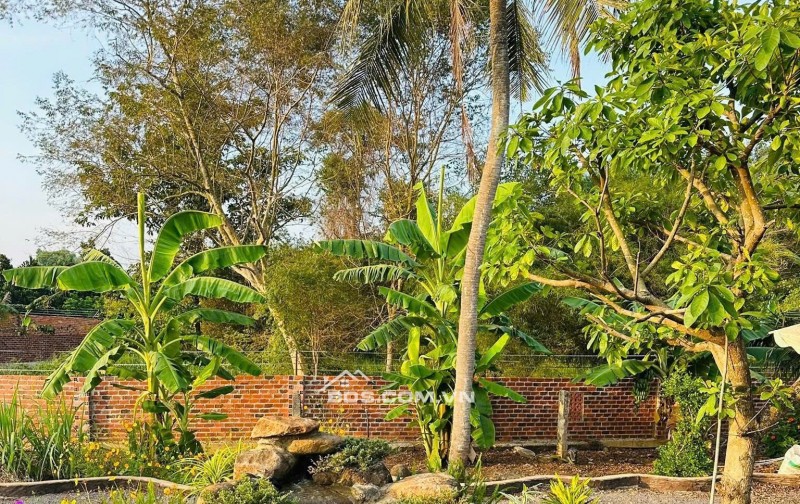 CẮT LỖ HƠN 3 TỶ Khu Nhà Vườn 2000M² – Cách Cổng 2 SÂN BAY LONG THÀNH Chỉ 5KM