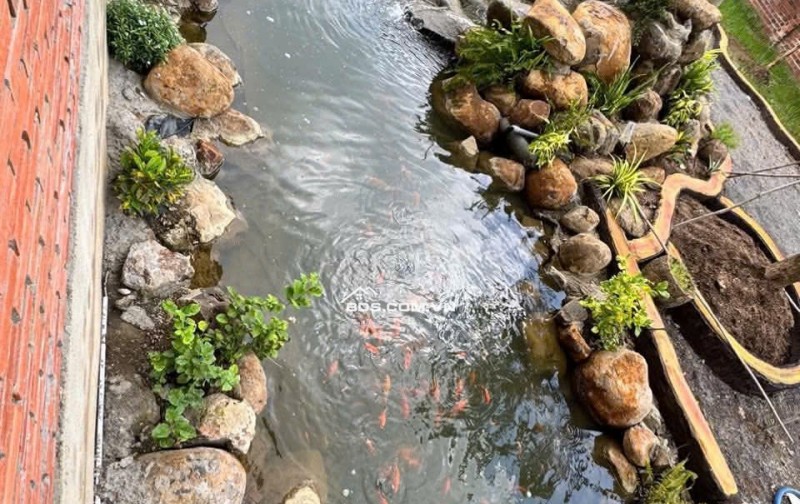 CẮT LỖ HƠN 3 TỶ Khu Nhà Vườn 2000M² – Cách Cổng 2 SÂN BAY LONG THÀNH Chỉ 5KM