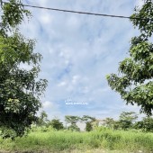 BÁN LÔ ĐẤT BIỆT THỰ VIEW SÔNG – KDC PHÚ LỢI – P7 – Q8 – GẦN TRƯỜNG ĐẠI HỌC KINH TẾ