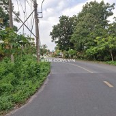 Bán đất mặt tiền đường Phú Thuận, xã An Nhơn Tây, TP.HCM ( Xã Phú Mỹ Hưng, Huyện Củ Chi)