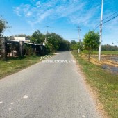 Nóng nóng…. Bán cực gấp Lô đất tại mặt tiền đường Phạm Thị Quới (LG 16m)  7000m2