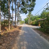 1)	Bán đất  HXH đường Phú Thuận, xã An Nhơn Tây, TP.HCM ( Xã Phú Mỹ Hưng, Huyện Củ Chi)