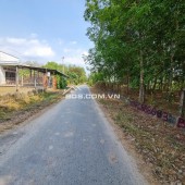 Cần sang tay gấp gấp lô đất tại mặt tiền đường Phạm Thị Quới, xã Phú Mỹ Hưng; Củ Chi, thành phố Hồ Chí Minh nay là xã An Nhơn Tây