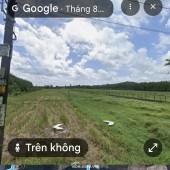 Bán đất nông nghiệp quy hoạch đất thổ cư tại mặt tiền đường Đường Phạm Thị Quới, xã An Nhơn Tây, TP.HCM ( cũ là xã Phú Mỹ Hưng)