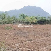 Đất làm vườn nghĩ dưỡng view sông sát đường đi Núi Thần Tài 3800m 5.3 tỷ. Lh:0913913077