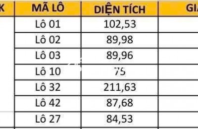 ĐẤT ĐẤU GIÁ THANH LÂM, MÊ LINH