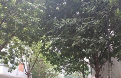 Bán 50m2 đất phân lô khu Cổng Đồng, La Khê mặt tiền 4.2m giá LH 0945255902