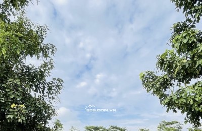 BÁN LÔ ĐẤT BIỆT THỰ VIEW SÔNG – KDC PHÚ LỢI – P7 – Q8 – GẦN TRƯỜNG ĐẠI HỌC KINH TẾ