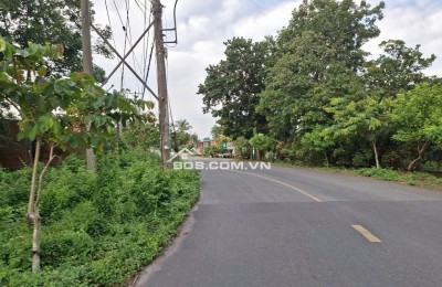 Bán đất mặt tiền đường Phú Thuận, xã An Nhơn Tây, TP.HCM ( Xã Phú Mỹ Hưng, Huyện Củ Chi)