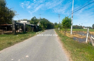 Nóng nóng…. Bán cực gấp Lô đất tại mặt tiền đường Phạm Thị Quới (LG 16m)  7000m2