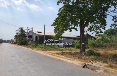 Cần tiền gấp: Bán đất mặt tiền đường Phú Thuận ( gần sân banh Phú Thuận) xã An Nhơn Tây, TP.HCM ( xã Phú Mỹ Hưng, Huyện Củ Chi cũ)