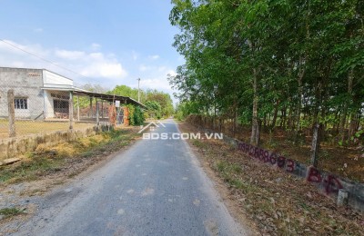 Cần sang tay gấp gấp lô đất tại mặt tiền đường Phạm Thị Quới, xã Phú Mỹ Hưng; Củ Chi, thành phố Hồ Chí Minh nay là xã An Nhơn Tây