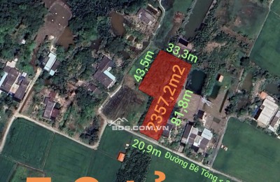 Bán lô đất lúa xã Tân Trụ giá 5,2 tỷ