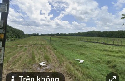 Bán đất nông nghiệp quy hoạch đất thổ cư tại mặt tiền đường Đường Phạm Thị Quới, xã An Nhơn Tây, TP.HCM ( cũ là xã Phú Mỹ Hưng)