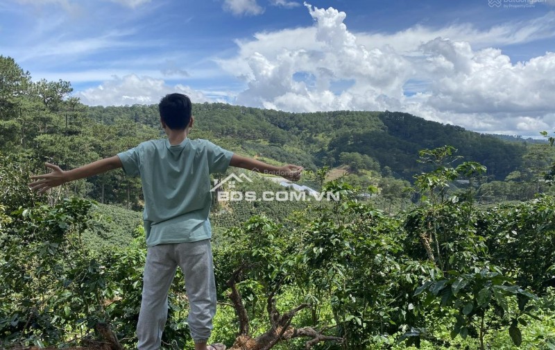 Cho thuê đất ở Đà Lạt Xuân Trường, miễn phí 1PN giá 2tr/lô/ sổ riêng