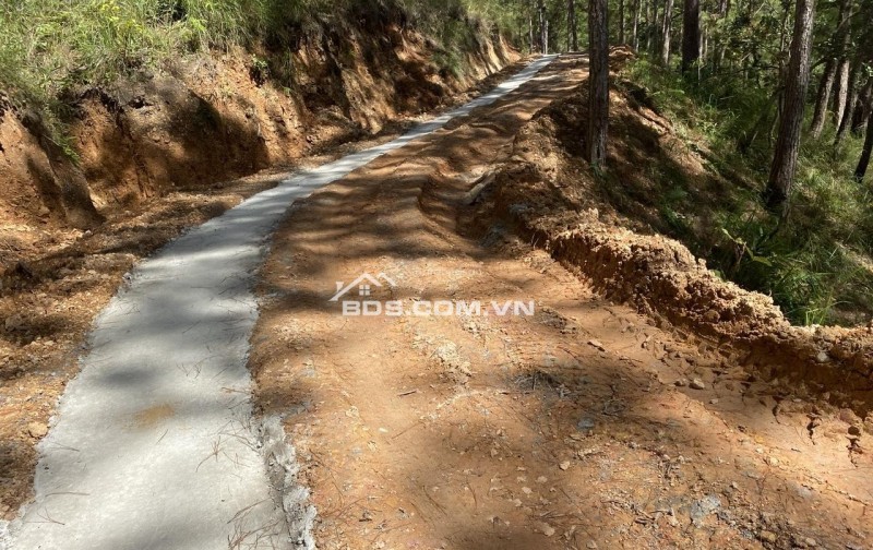 Cho thuê 10.600m2 đất vườn cafe Sim Tím MT QL20, HXH Đà Lạt