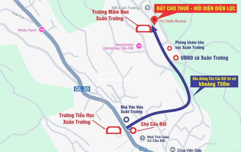 Cho thuê đất ở Đà Lạt Xuân Trường, miễn phí 1PN giá 2tr/lô/ sổ riêng