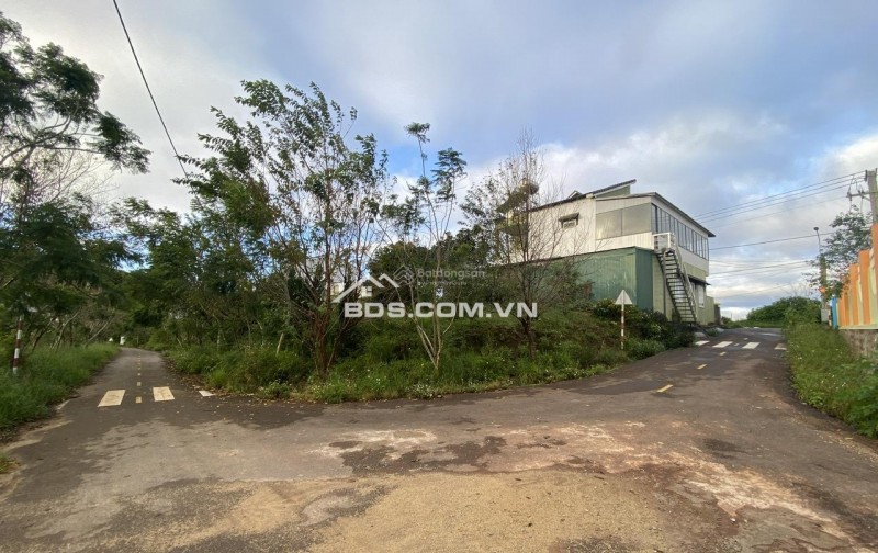 Cho thuê đất ở Đà Lạt Xuân Trường, miễn phí 1PN giá 2tr/lô/ sổ riêng