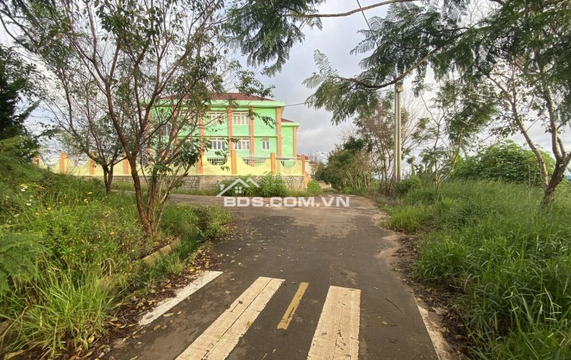 Cho thuê đất ở Đà Lạt Xuân Trường, miễn phí 1PN giá 2tr/lô/ sổ riêng