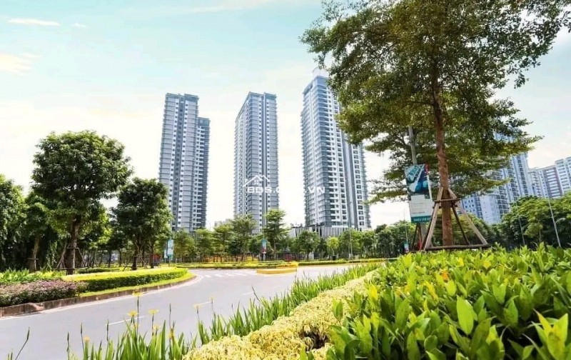 Cho thuê  chung cư ZEN - GAMUDA Hoàng Mai, Hà Nội   Vị trí:The Zen Residence, KĐT Gamuda Gardens, Hoàng Mai, Hà Nội  Diện tích: 54m -74m-98m 1-2-3 ngủ ( Giá 10tr-17tr)  Hướng: ban công Đông Bắc-Tây Nam  Nội thất: cơ bản - Full đồ  Tiện ích : Bể bơi vô cực