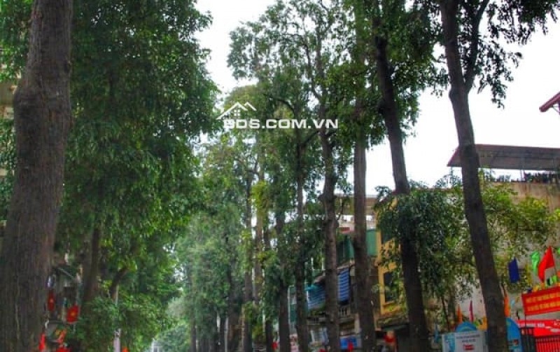 LÔ GÓC 3 THOÁNG_THANG MÁY_43M2_6 NGỦ_TRUNG TÂM LÒ ĐÚC – HAI BÀ TRƯNG_CHỈ 12 TỶ