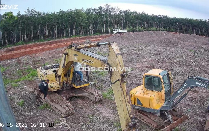 Cho thuê đất trống CLN tại xã An Long, TP. HCM, diện tích 4,5ha giảm từ 20 triệu còn 10 triệu/tháng