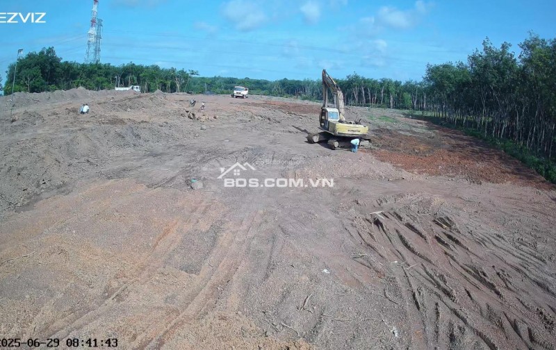 Cho thuê đất trống CLN tại xã An Long, TP. HCM, diện tích 4,5ha giảm từ 20 triệu còn 10 triệu/tháng