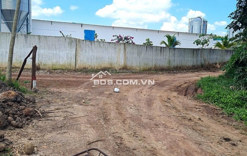 Cho thuê đất trống CLN tại xã An Long, TP. HCM, diện tích 4,5ha giảm từ 20 triệu còn 10 triệu/tháng