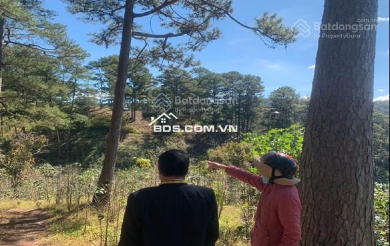 Cho thuê 10.600m2 đất vườn cafe Sim Tím MT QL20, HXH Đà Lạt