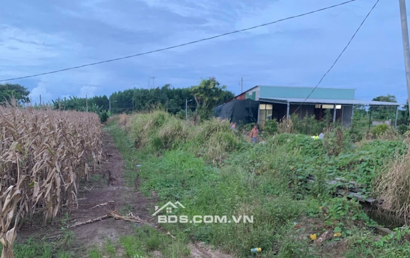 BÁN 4761m2 ĐẤT XÃ LÁNG DÀI, NGAY CHỢ LÁNG DÀI, HUYỆN ĐẤT ĐỎ BÀ RỊA (NAY LÀ XÃ ĐẤT ĐỎ - HCM)