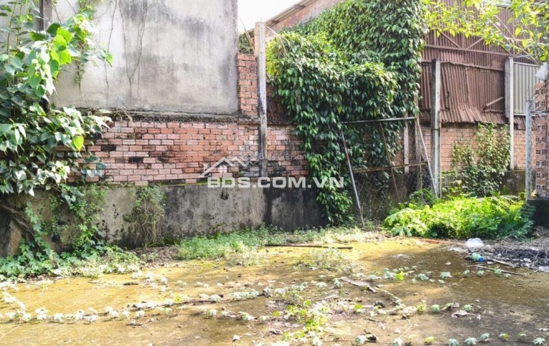 BÁN ĐẤT TẠI KHU PHỐ ĐÔNG TƯ PHƯỜNG LÁI THIÊU, TP. HCM. GIÁ CỰC CHẤT 6,5 TỶ CHO 268M2